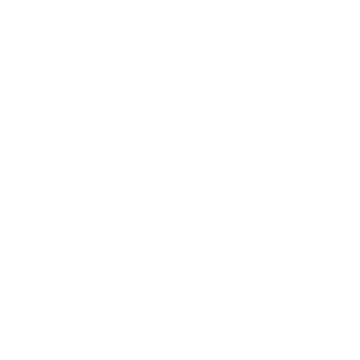 Blitz Studio