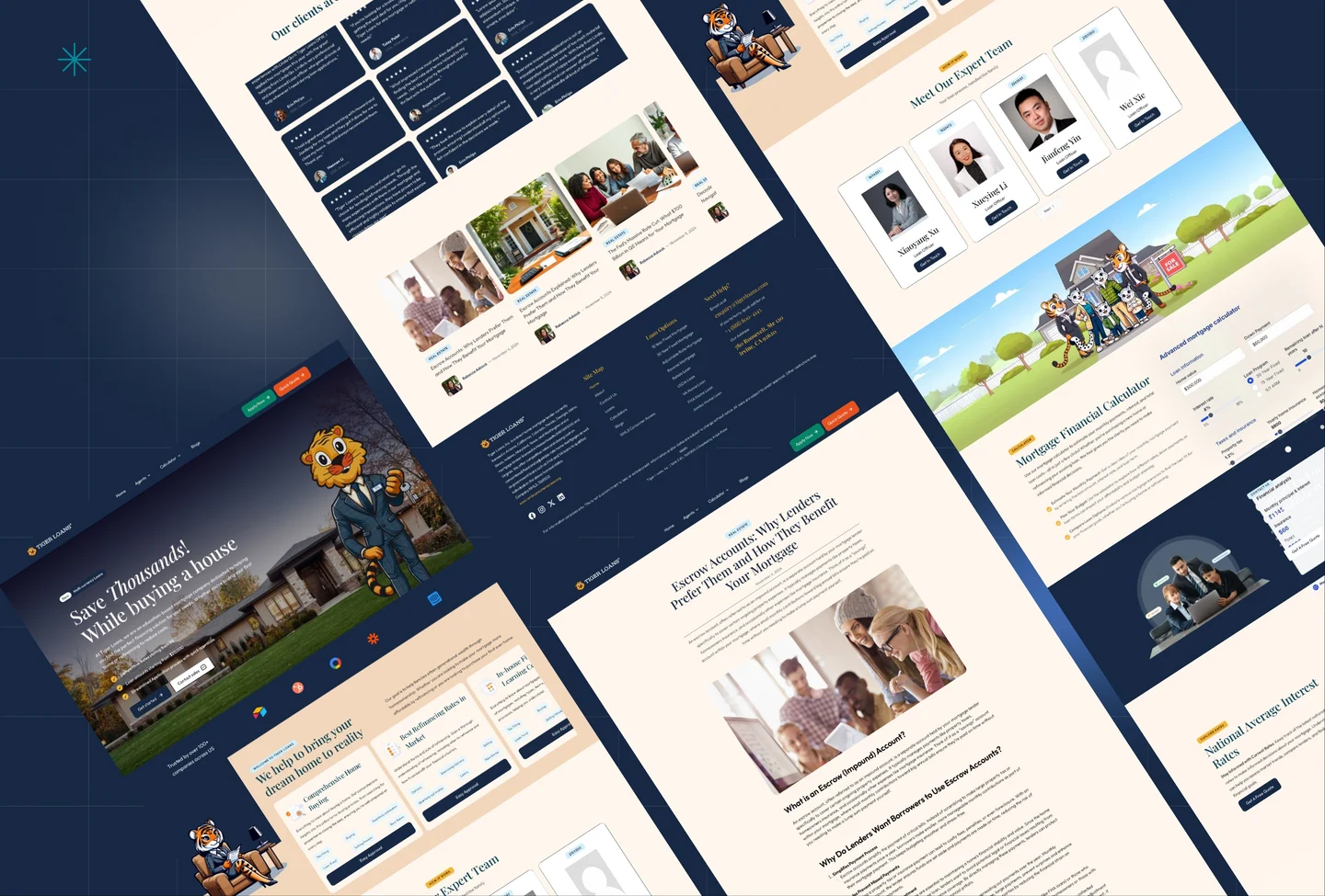 Tiger Loans design by Blitz Studio